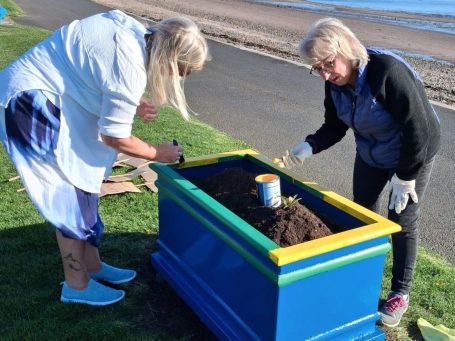Members of Largs SWI maintaining community flower planters at Cairnies Quay in Largs