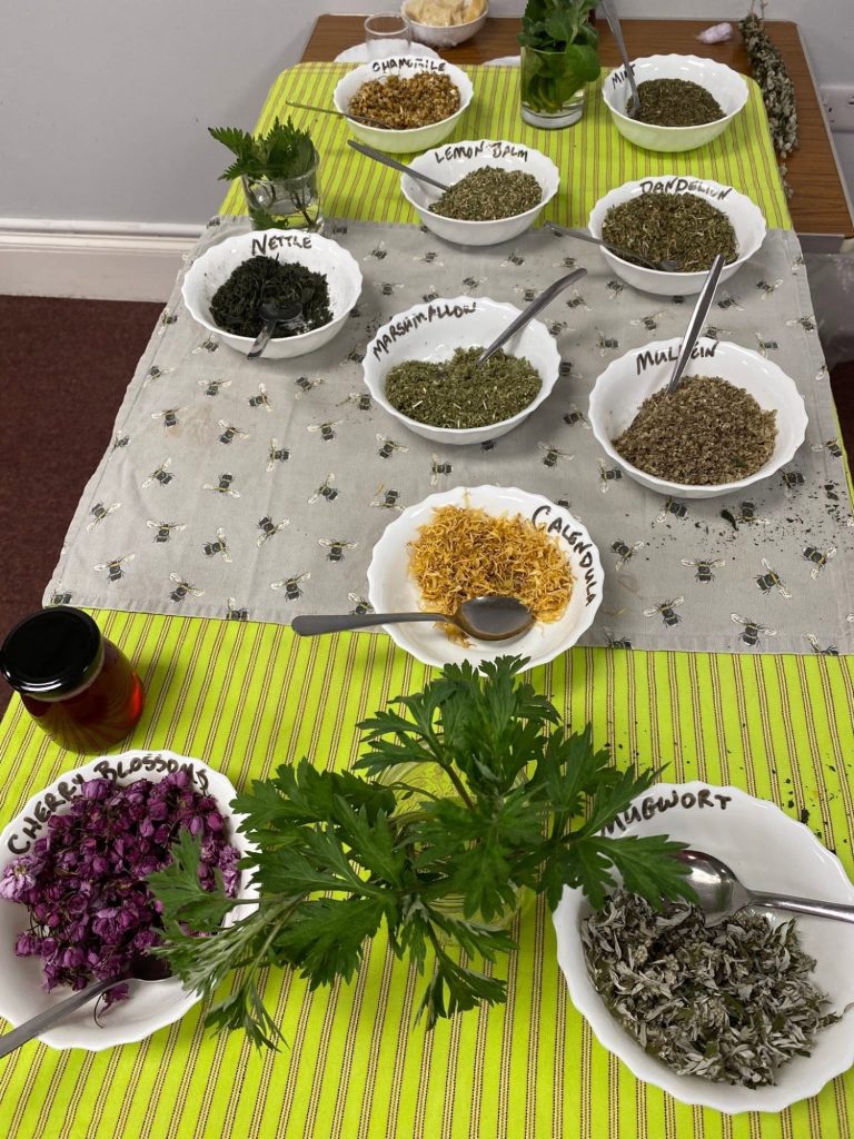Teas and tinctures making class at Largs SWI Spring Programme in Largs SWI